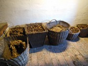 Výlet Přerov nad Labem